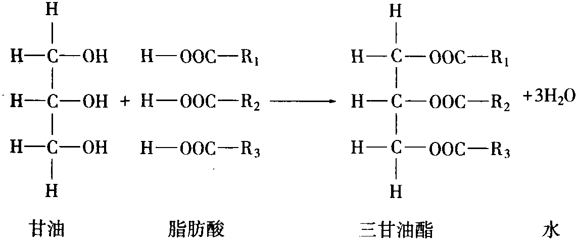 一、油脂的一般通性